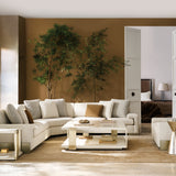 room with Spy Glass