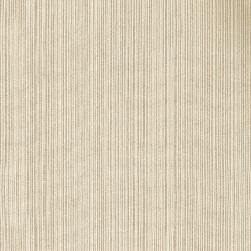 Nite In Shining Armor Kg