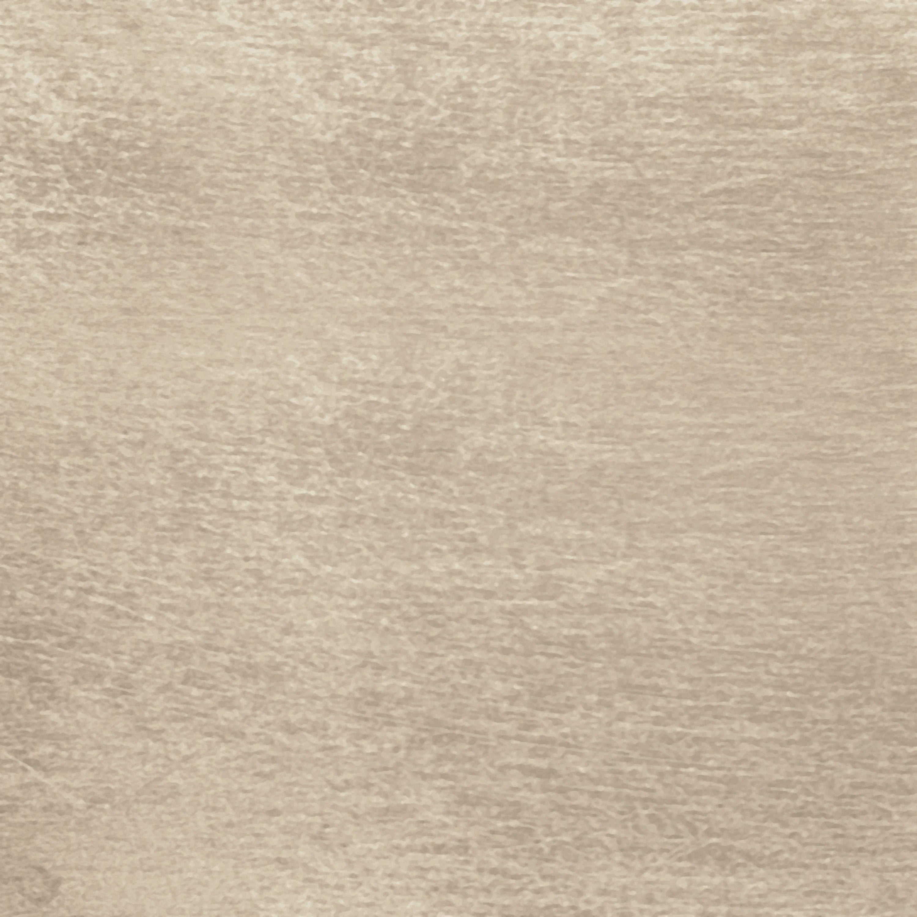 Soft Silver Leaf