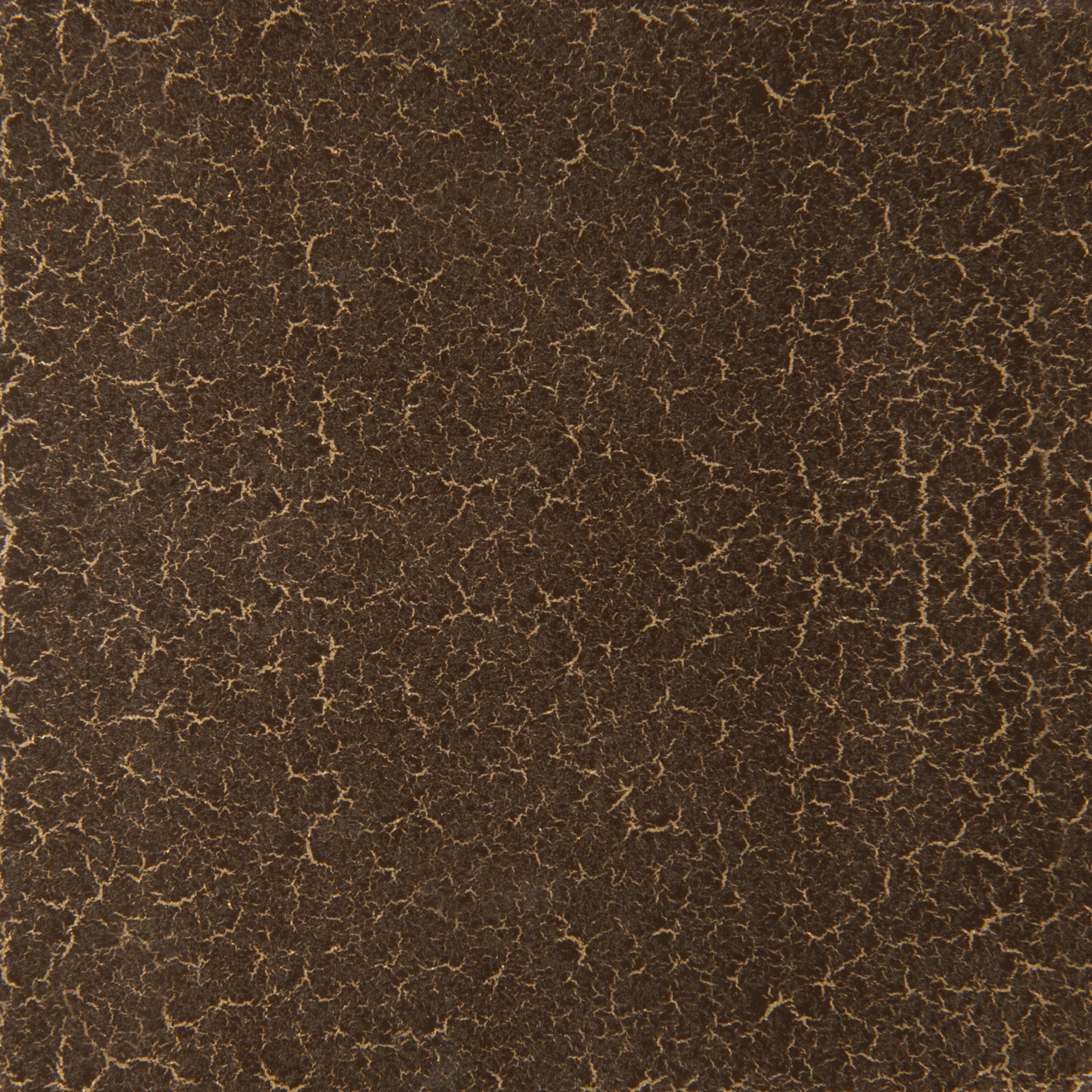 [finish]:Forest Craze