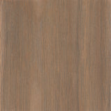 [finish]:Porcini
