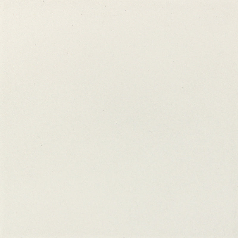 Star Of The Night Qn Fb