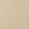 Ivory Craze