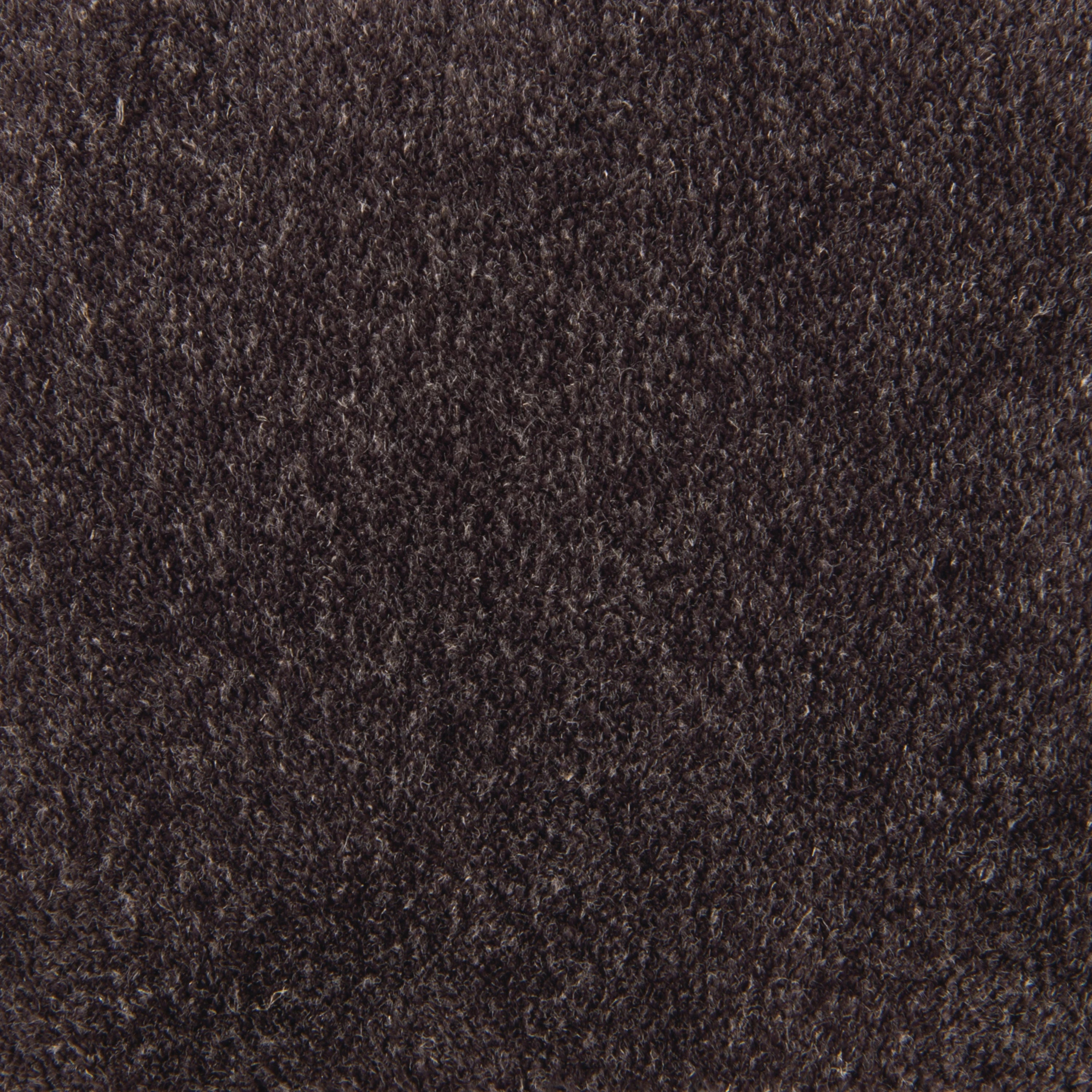 2956-81CC