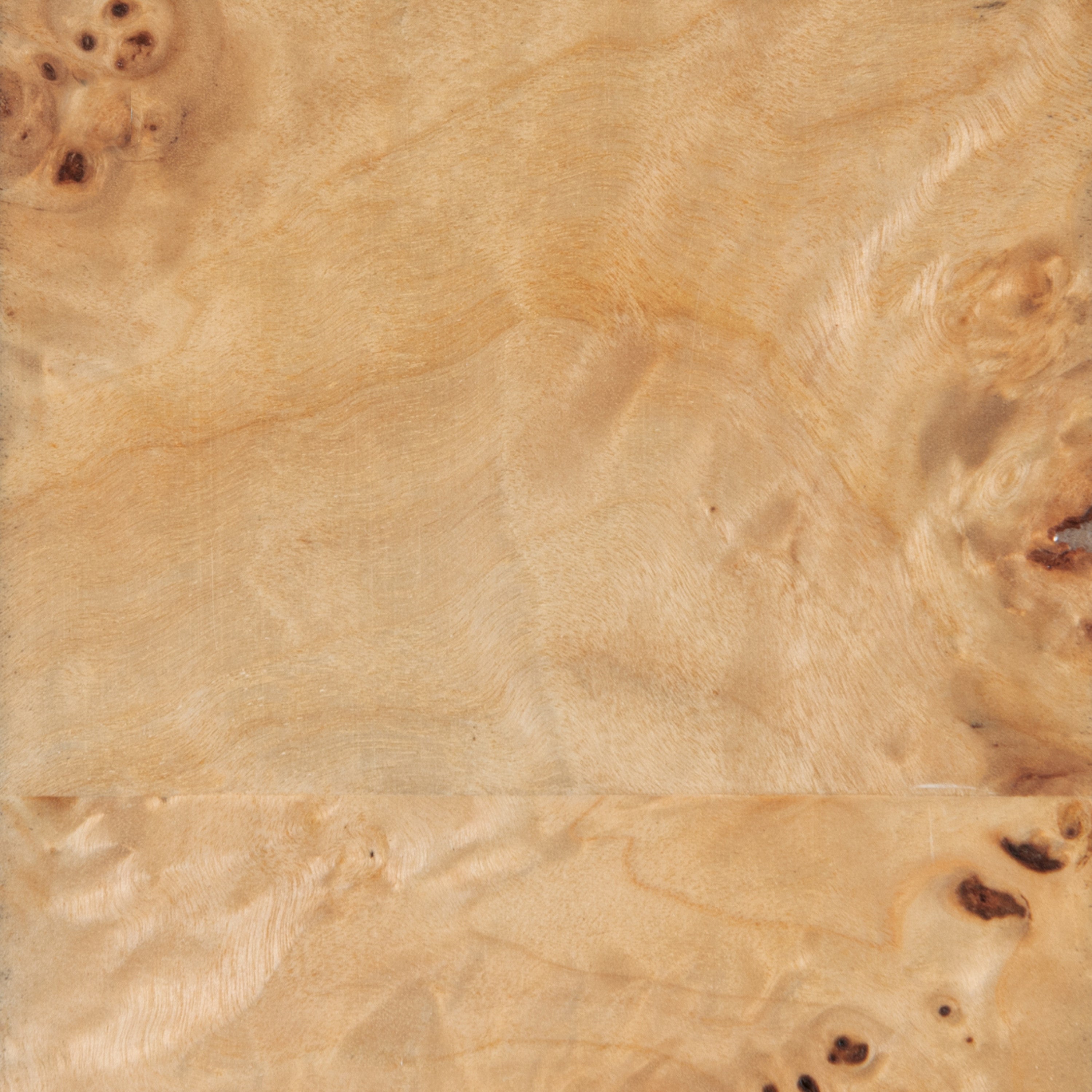 Mappa Burl