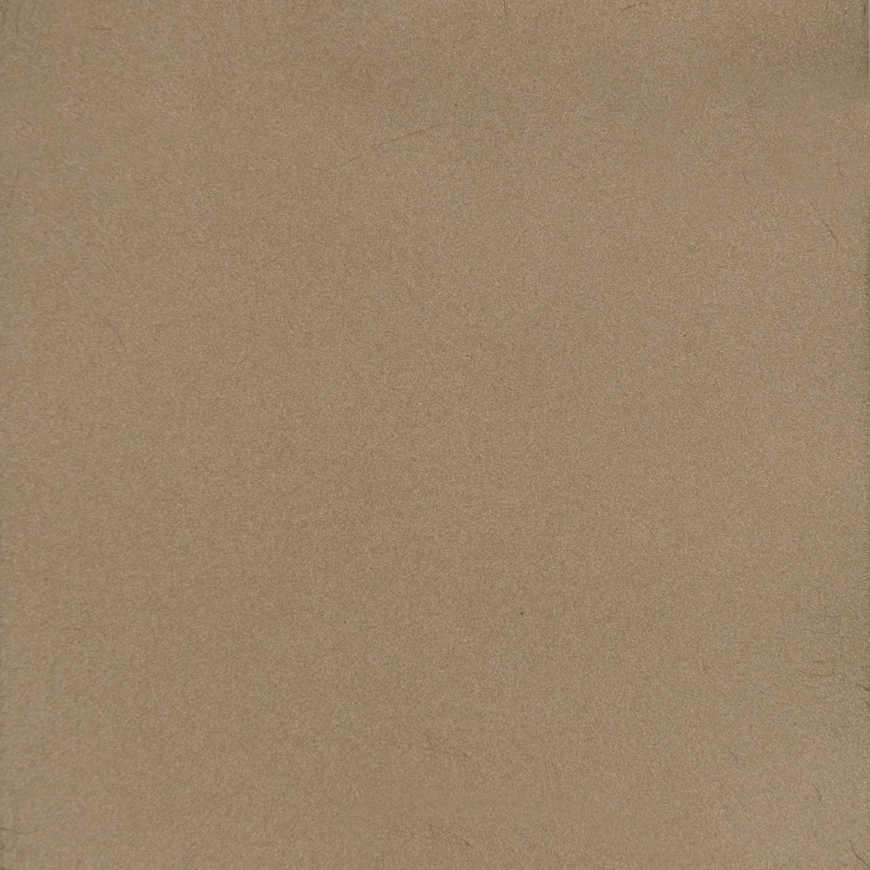 Lucent Bronze Metallic