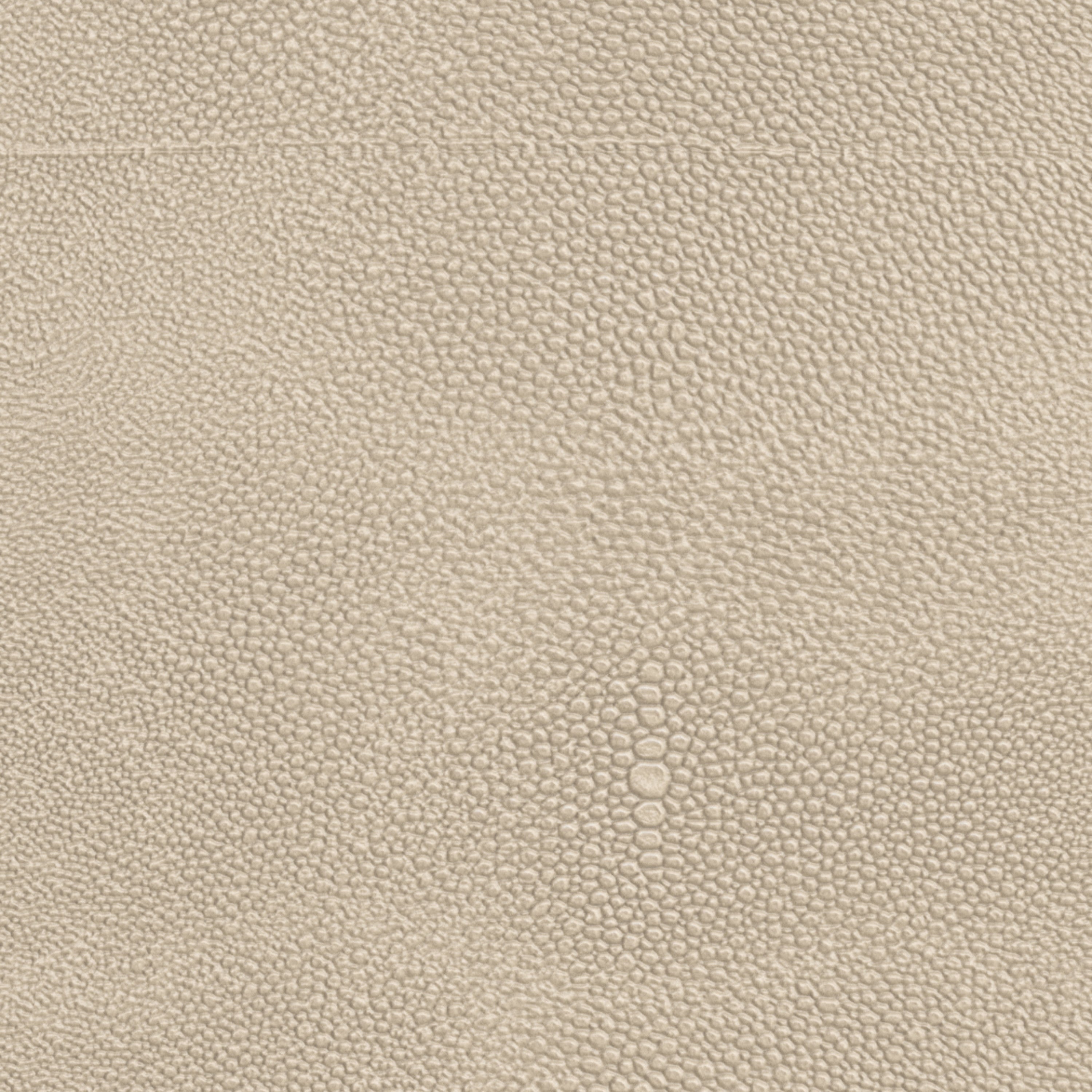 Ivory Painted Faux Shagreen