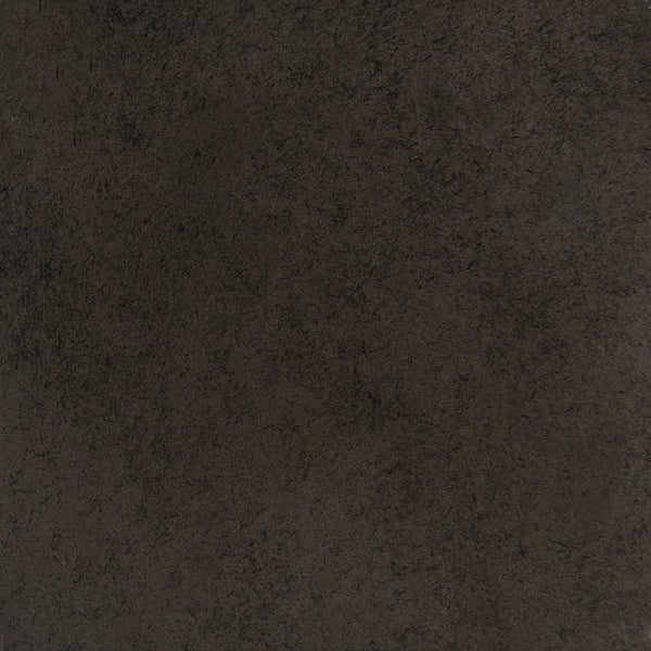 Craftsman Bronze