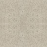 2981-35CC-P